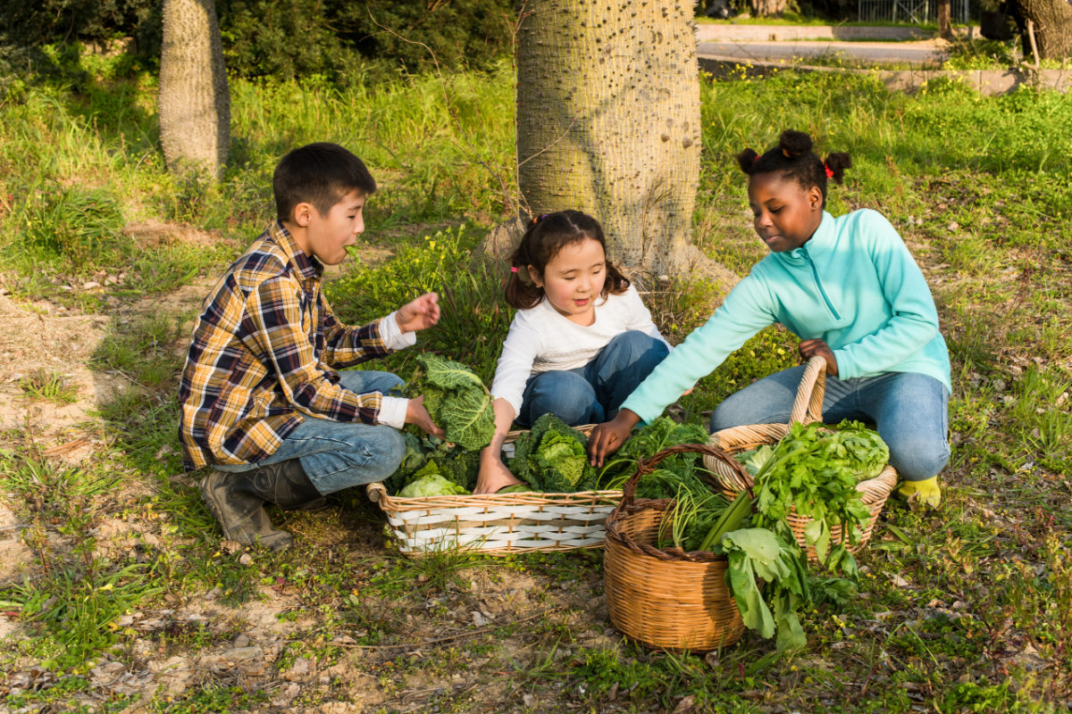free back to school activities